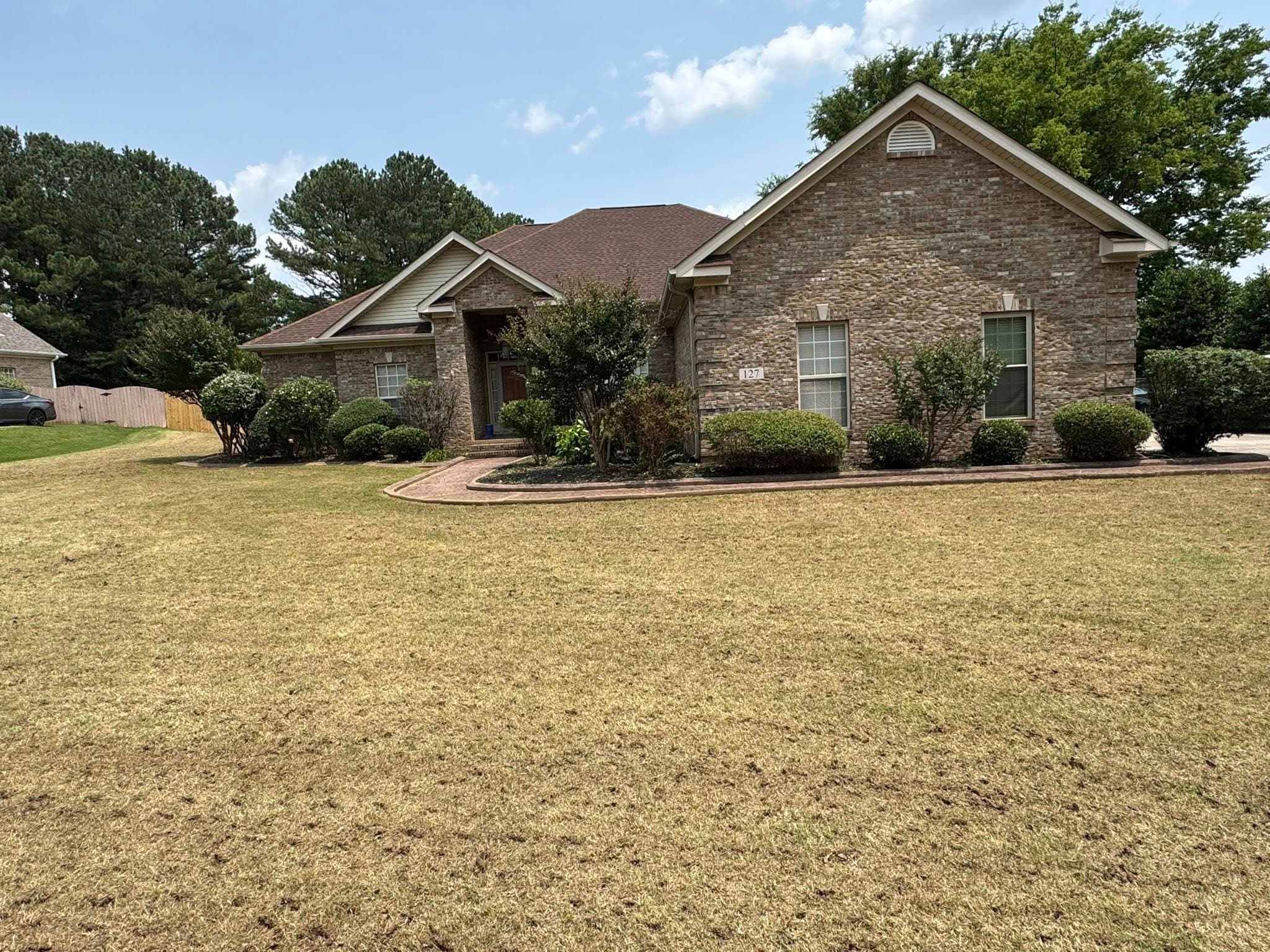 Lawn after Turf Titans service
