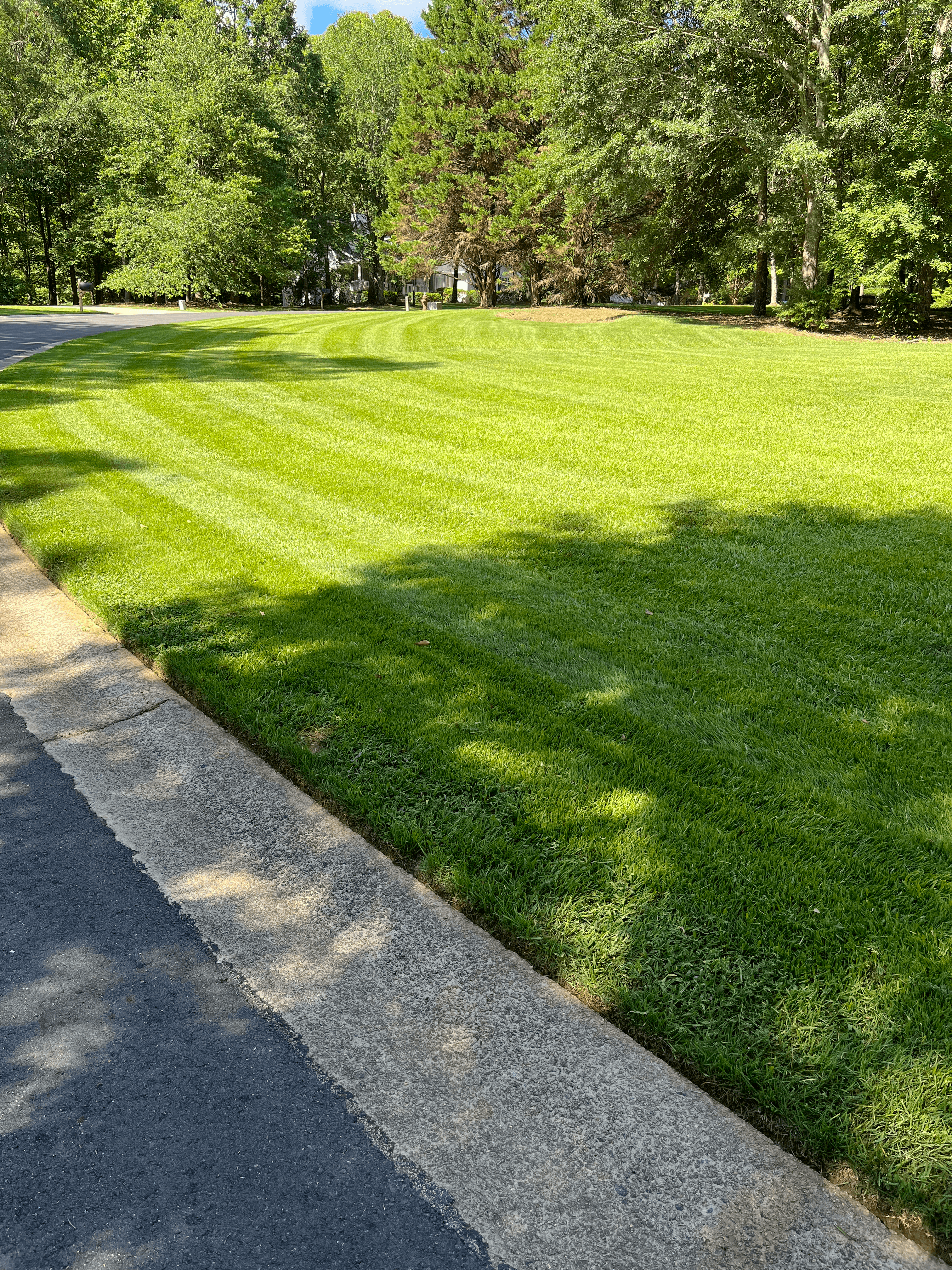 Striped lawn mowing with clean edging along a curb in North Alabama