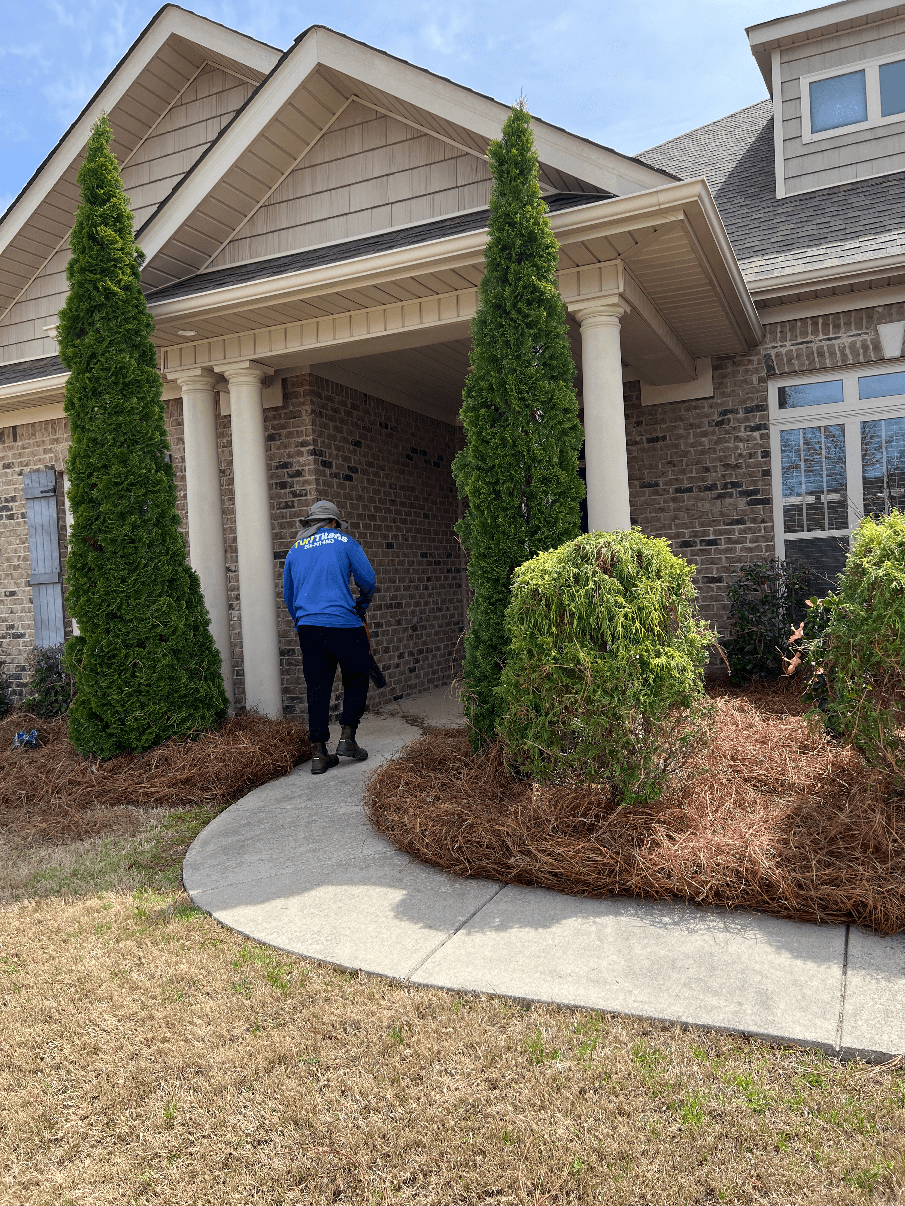 Turf Titans crew member applying pine straw mulch around shrubs and arborvitae
