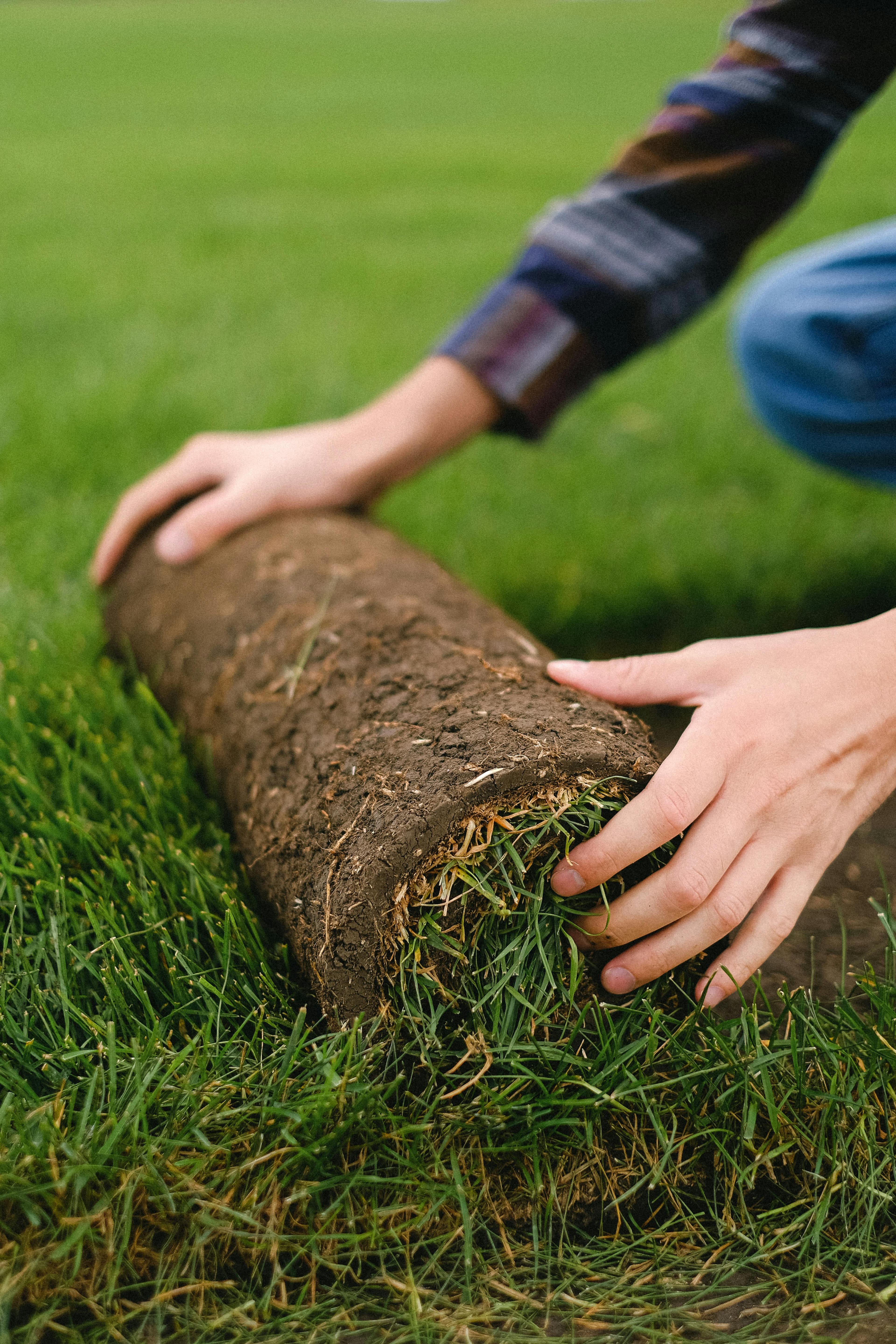 When to Lay Sod in Huntsville (Zone 7b Timing)