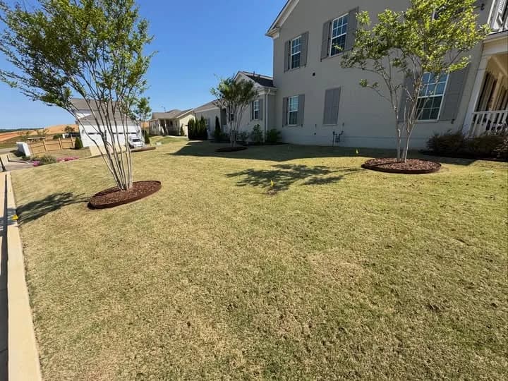 Core aeration in progress on a residential lawn in Huntsville, AL