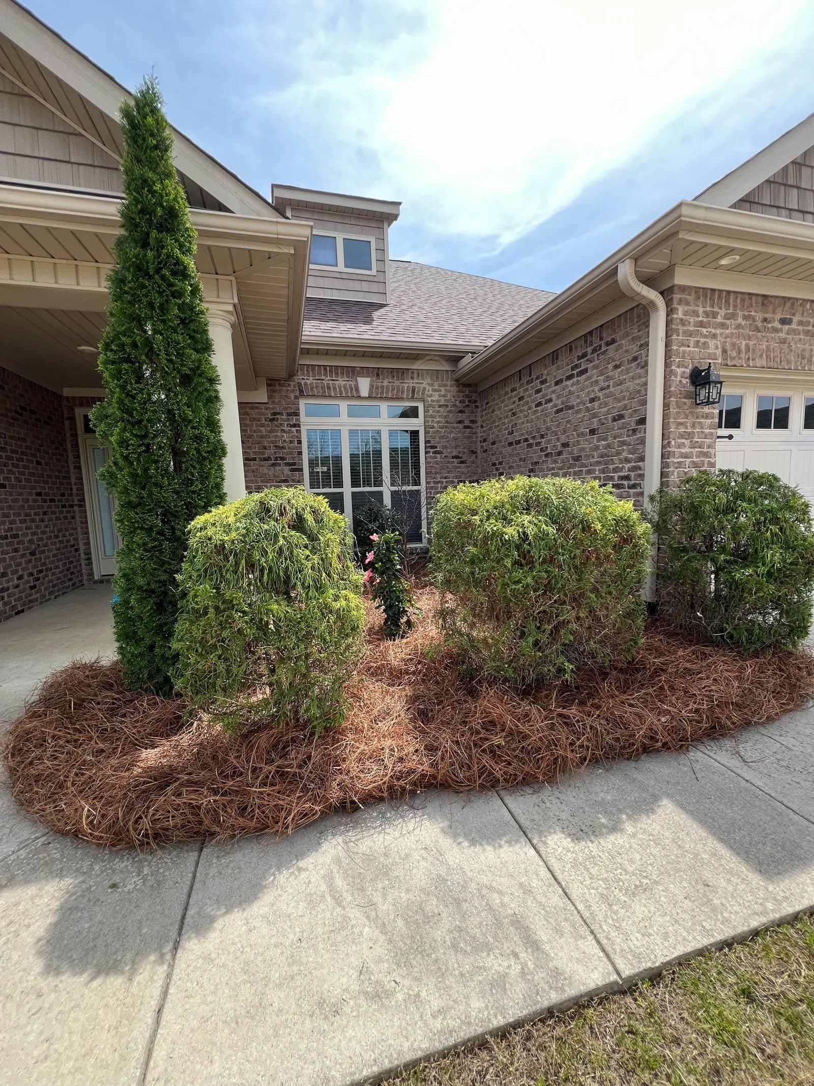 Fresh pine straw beds and trimmed shrubs at a front entry in Huntsville Alabama
