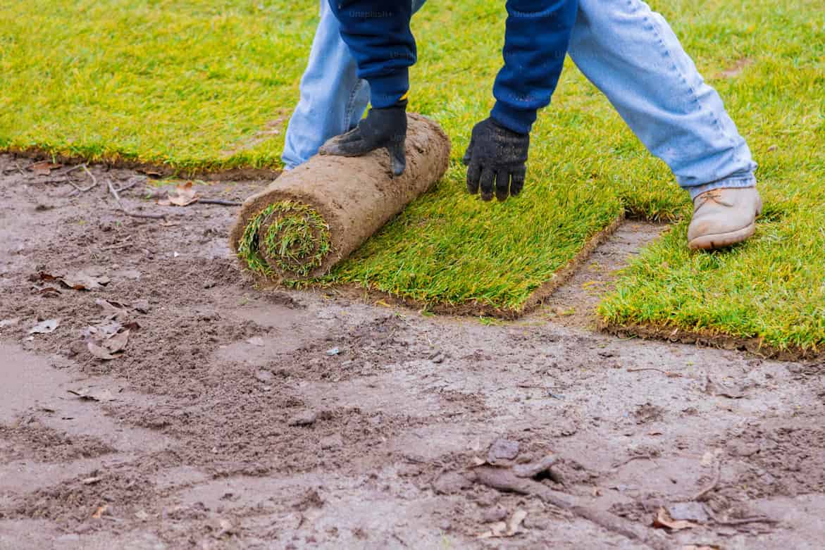 Fresh sod being installed on a residential lawn in Huntsville Alabama